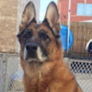 Meet your Posher, Joseph